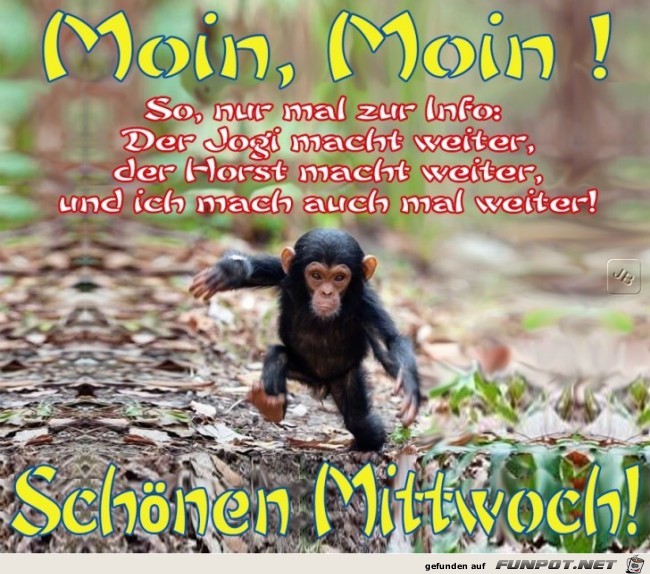 Mittwoch Mittwoch