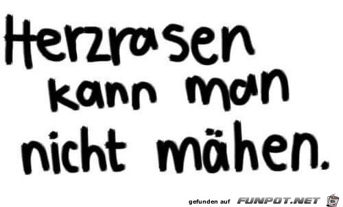 herzrasen herzrasen