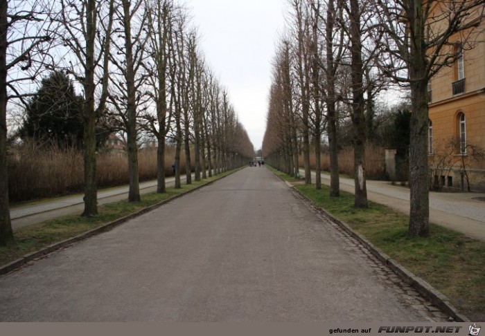 Impressionen aus Sanssouci (Potsdam) im Winter