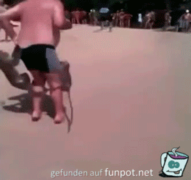 Affen klauen alles Affen klauen alles