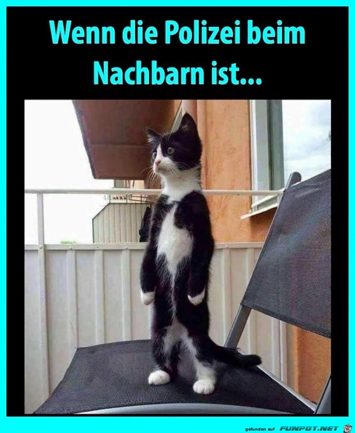 Nachbarschaftskontrolle Nachbarschaftskontrolle