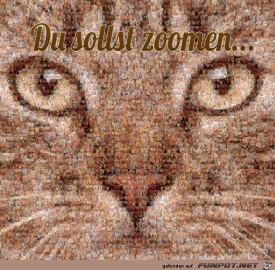 Du sollst zoomen Du sollst zoomen