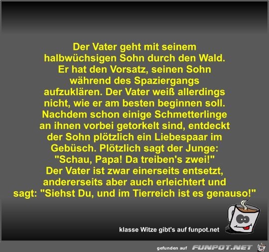 Der Vater geht mit seinem halbwüchsigen Sohn durch den Wald Der Vater geht mit seinem halbwüchsigen Sohn durch den Wald