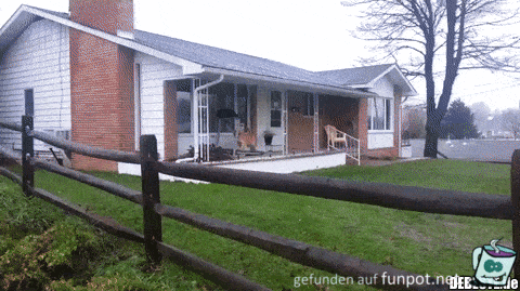 Hundetraining Hundetraining