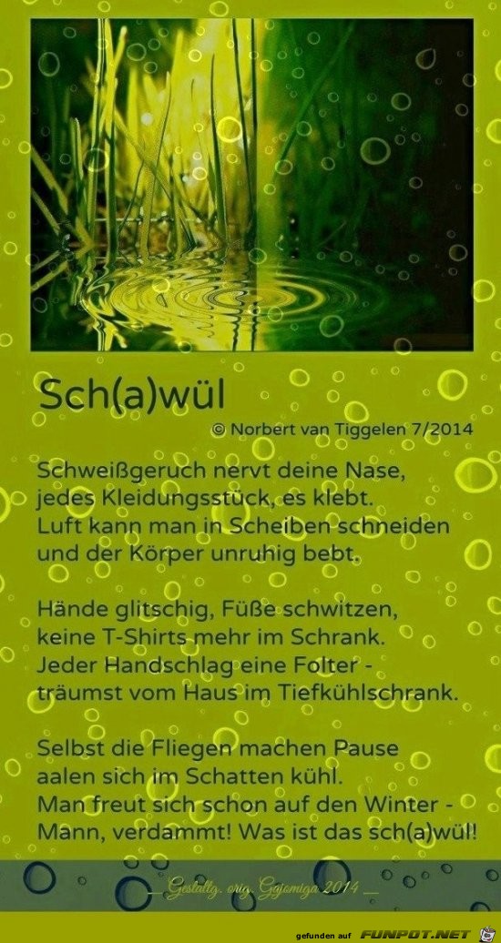 Schawl Juli 2018