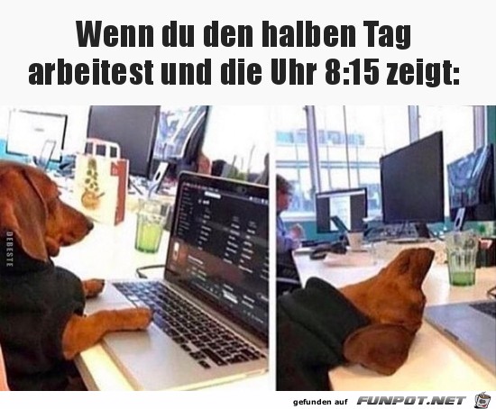 Wie zäh das wieder ist Wie zäh das wieder ist