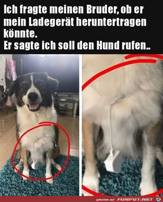 Zu faul für alles Zu faul für alles