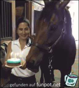 Pferd pustet Kerzen aus