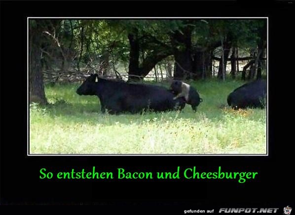 So wird bacon und cheesburger gemacht
