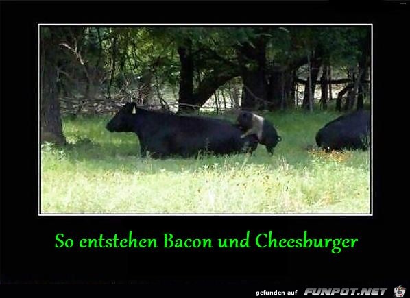 So wird bacon und cheesburger gemacht So wird bacon und cheesburger gemacht