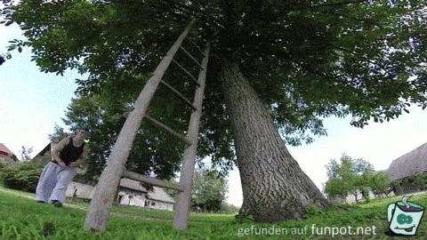 Sprung durch Leiter Sprung durch Leiter