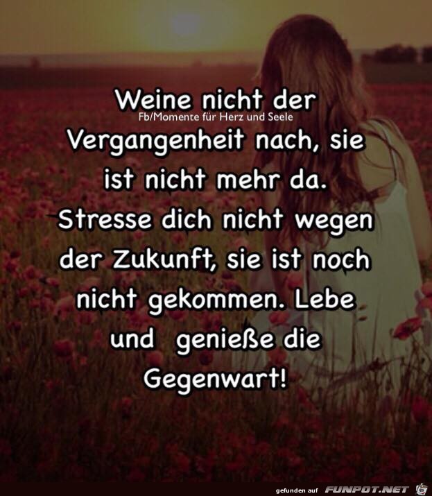 Weine nicht Weine nicht
