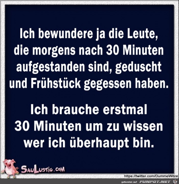 Ich-bewundere-ja-die-Leute Ich-bewundere-ja-die-Leute