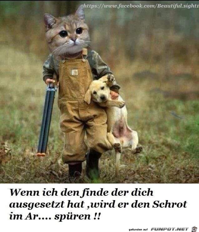 Wenn ich den finde Wenn ich den finde