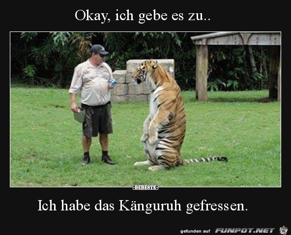 Ich gebe es zu Ich gebe es zu