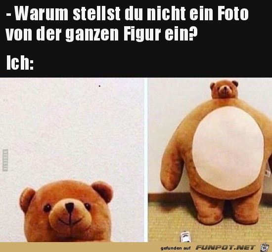Gewusst warum Gewusst warum