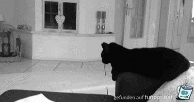 Handschlag Handschlag