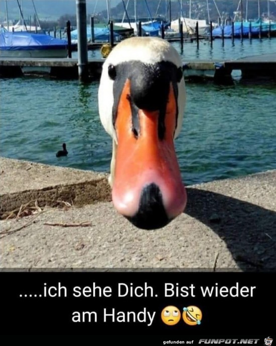 Ich sehe dich