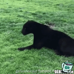 Da will ich auch mitmachen Da will ich auch mitmachen