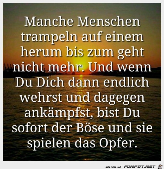 Manche Menschen