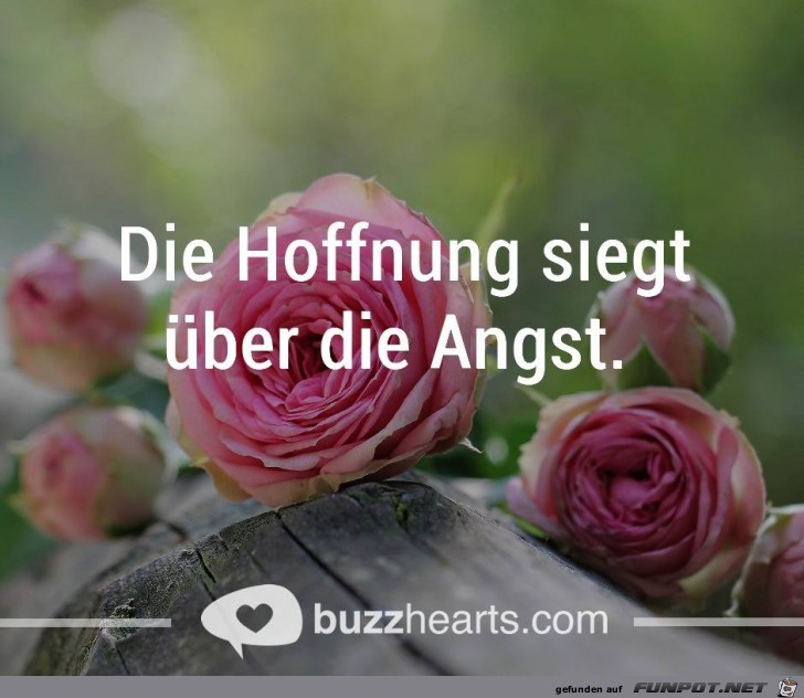 Die Hoffnung siegt Die Hoffnung siegt