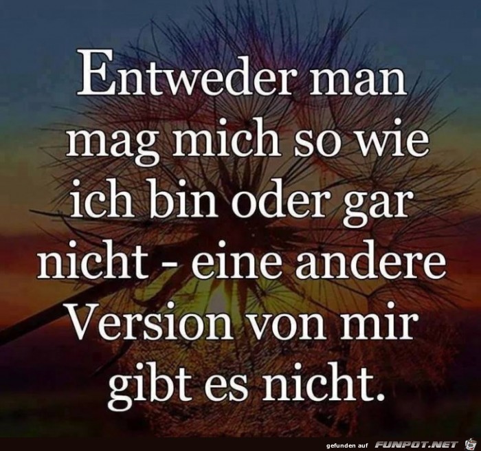 Entweder man mag mich Entweder man mag mich