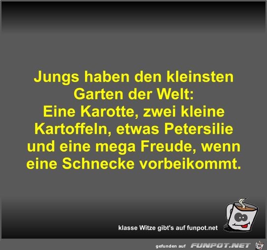 Jungs haben den kleinsten Garten der Welt Jungs haben den kleinsten Garten der Welt