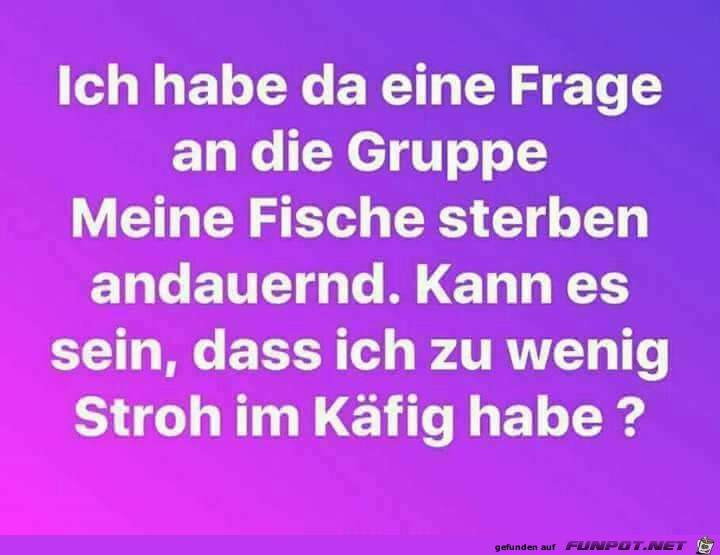 Fischsterben Fischsterben
