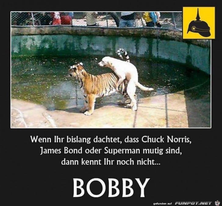 Verdammt mutig Verdammt mutig