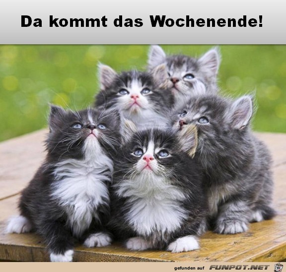 Das Wochenende ist in Sicht Das Wochenende ist in Sicht