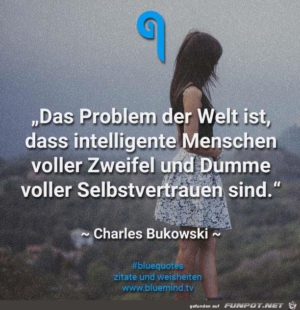 das Problem fer welt