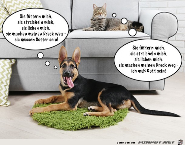 was Katz und Hund so denkt.....