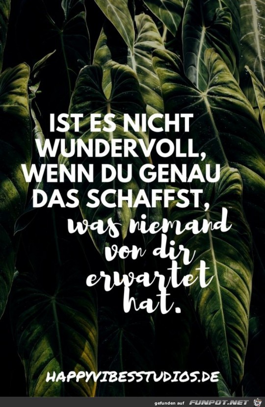 ist es nicht wundervoll..... ist es nicht wundervoll.....
