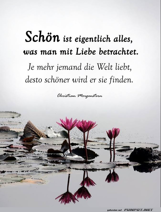 10 schne Sprche und Lebensweisheiten aus...