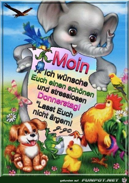 Moin Moin