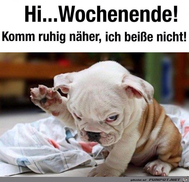Komm ruhig näher Komm ruhig näher