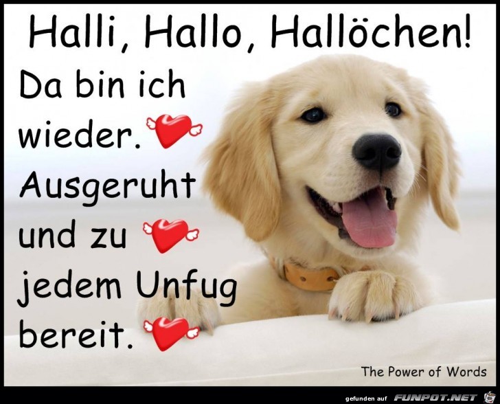 Halli Hallo Halloechen Halli Hallo Halloechen