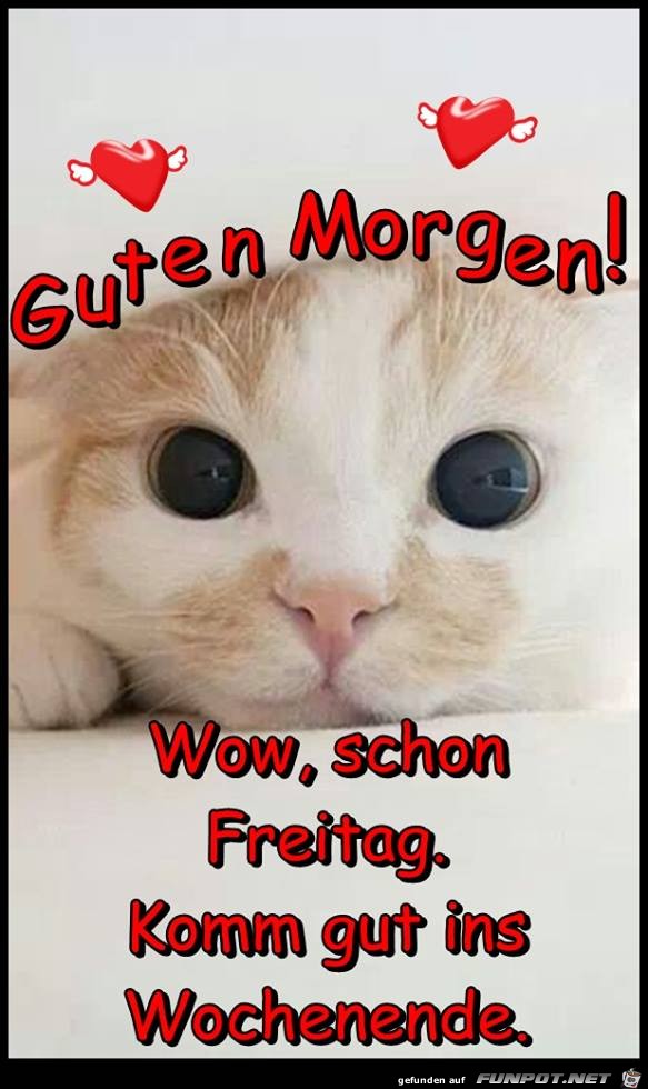 Guten Morgen