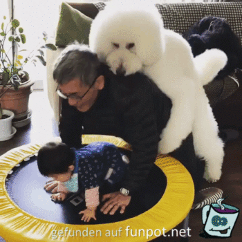 Falsche Stellung Falsche Stellung