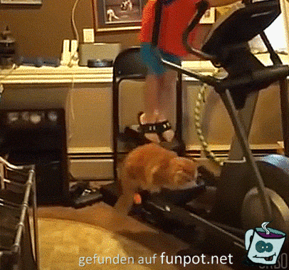 Fitnessgerät 2 Fitnessgerät 2