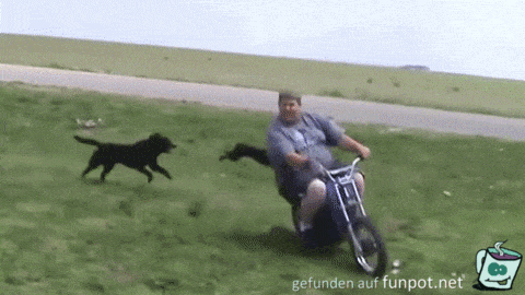 Hunde jagen Rollerfahrer Hunde jagen Rollerfahrer