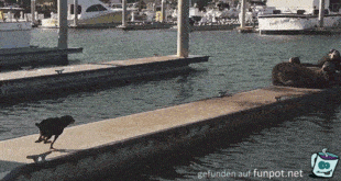 Runter von meinem Steg Runter von meinem Steg