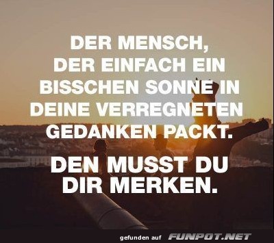 der mensch der einfach der mensch der einfach