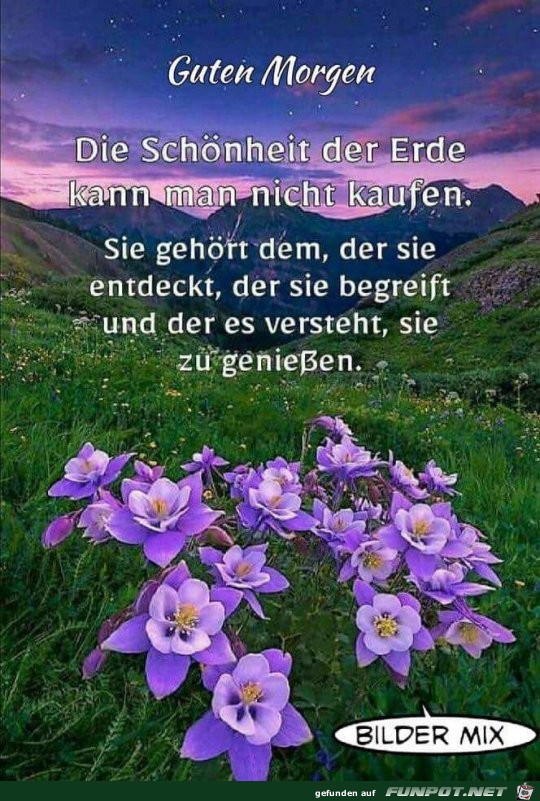 die Schoenheit der Erde die Schoenheit der Erde