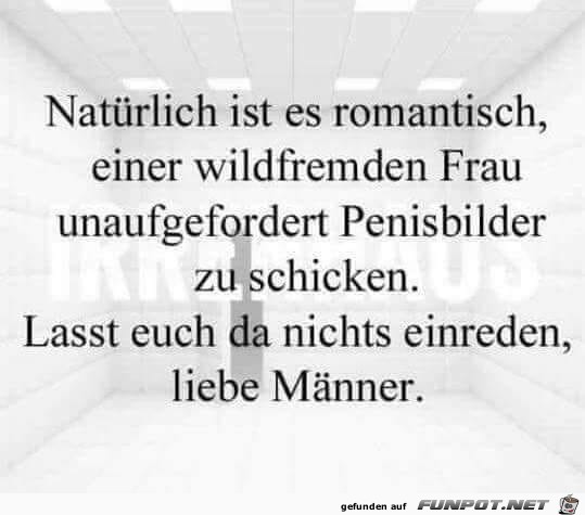 Bilder Bilder