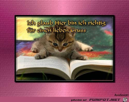 Ich glaub Ich glaub