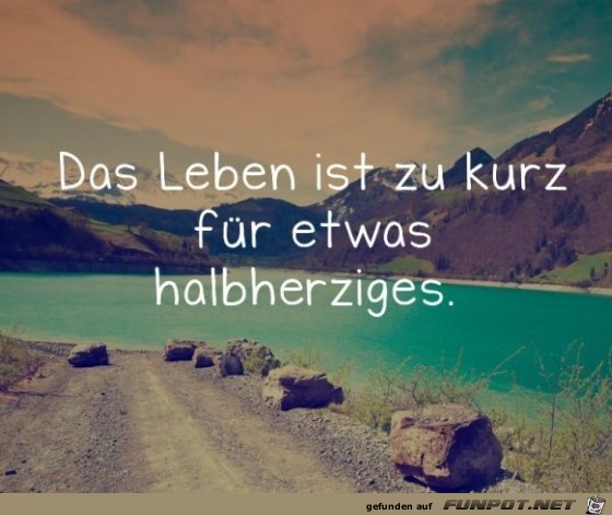 Das Leben ist zu kurz Das Leben ist zu kurz