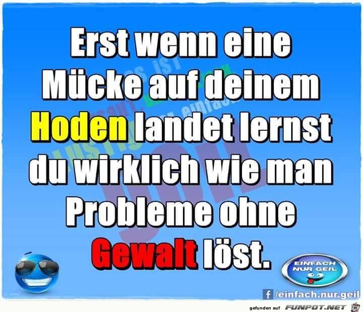 Probleme ohne Gewalt lsen