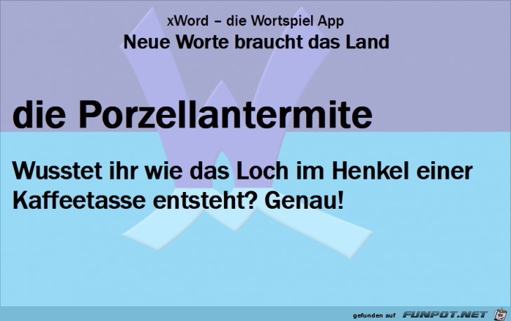 Neue-Worte-Porzellantermite