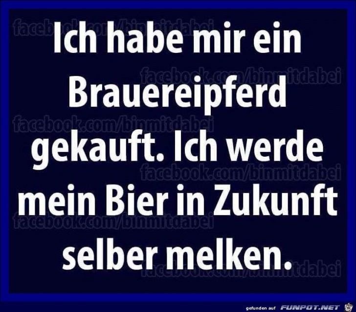Brauereipferd Brauereipferd